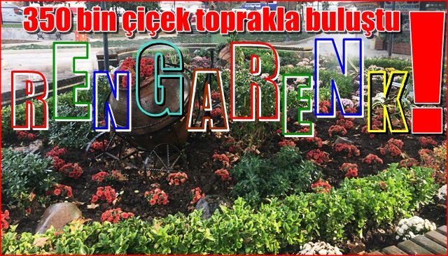 350 bin çiçek toprakla buluştu