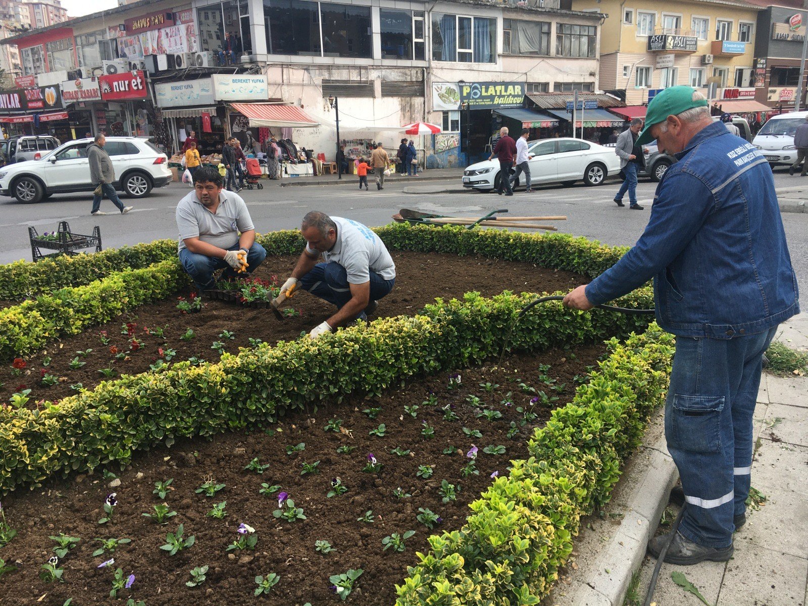 350 bin çiçek toprakla buluştu - 3