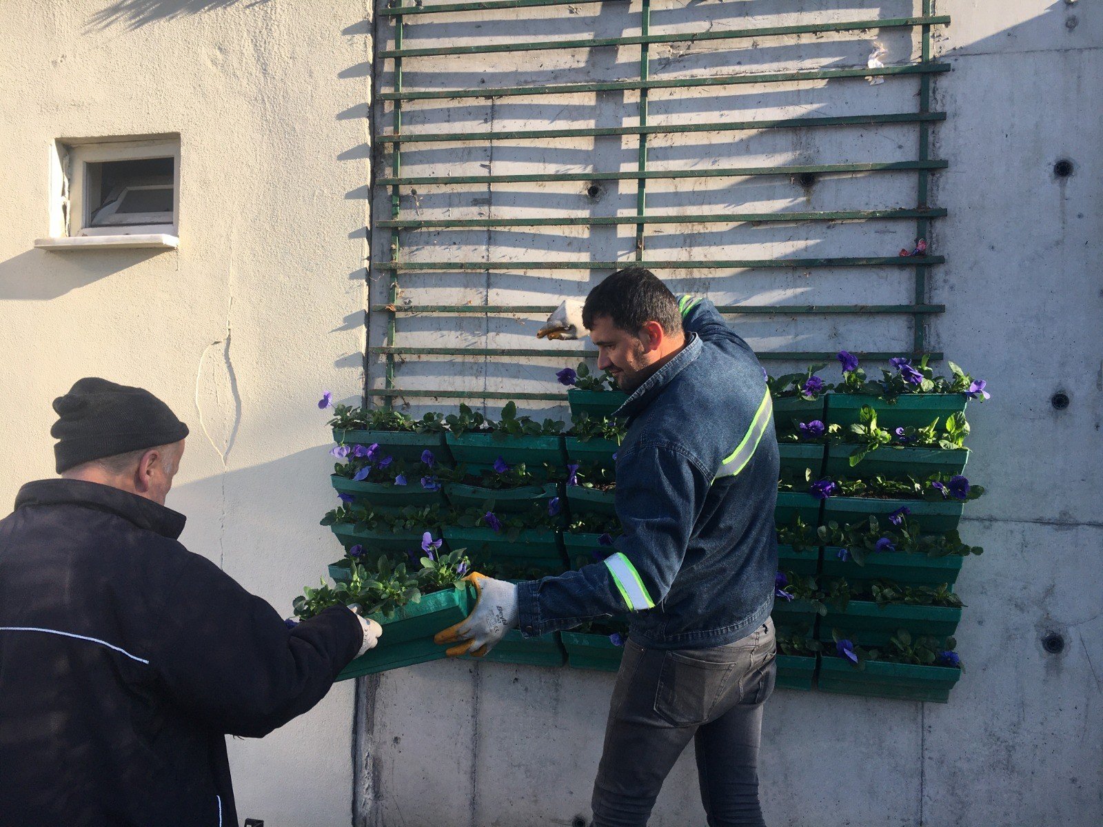 350 bin çiçek toprakla buluştu - 6