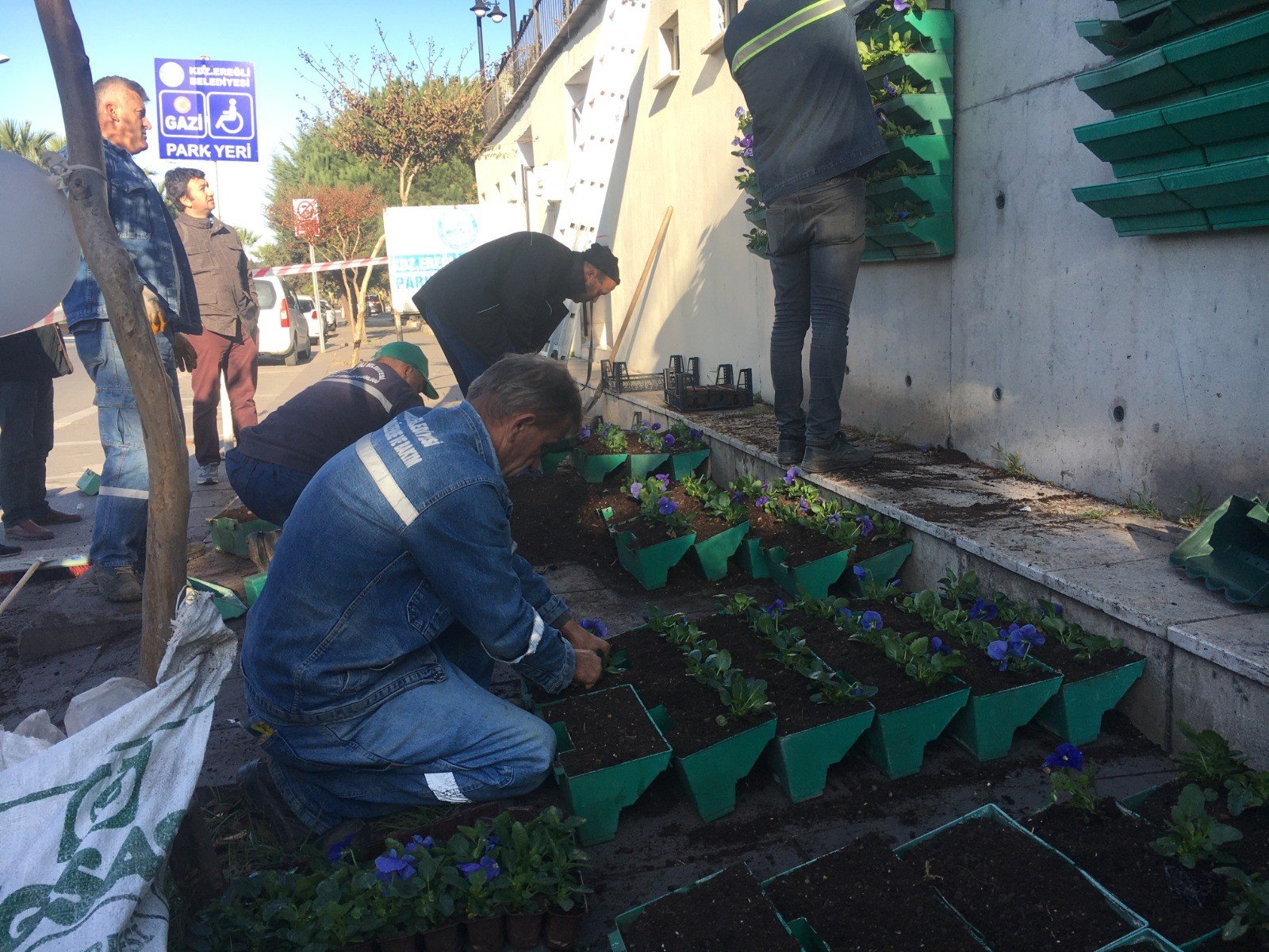 350 bin çiçek toprakla buluştu - 7