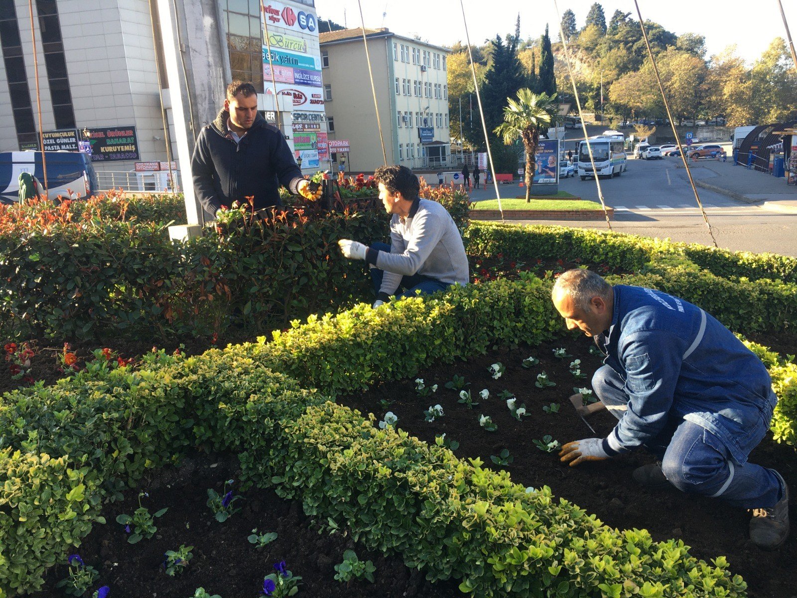 350 bin çiçek toprakla buluştu - 8