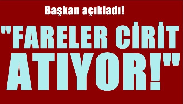 Başkan açıkladı: “Fareler cirit atıyor!”