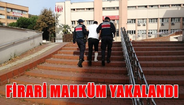 Cezaevinden kaçtı, jandarma kıskıvrak yakaladı