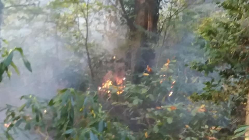 Ormanlık alanda çıkan yangın kontrol altına alındı - 2