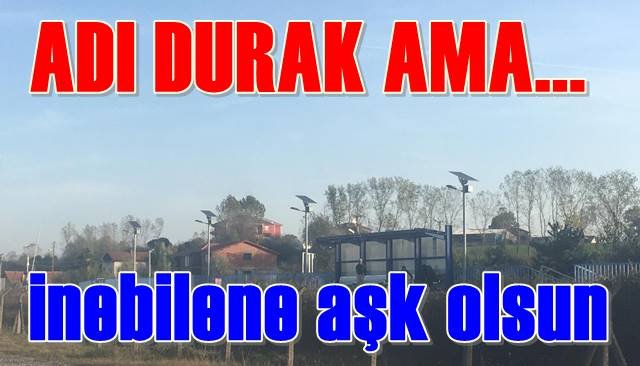 Uçak yolcuları tren mağduru oldu