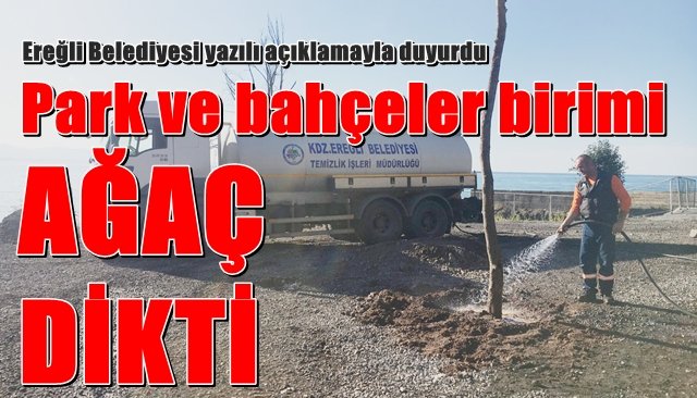 Park ve Bahçeler birimi ağaç dikti