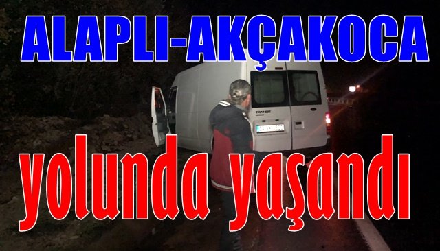 Yağmurda kayan ticari araç yoldan çıktı