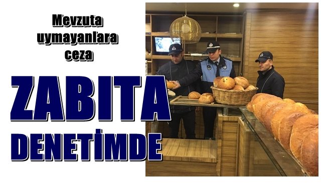 Zabıta denetimde