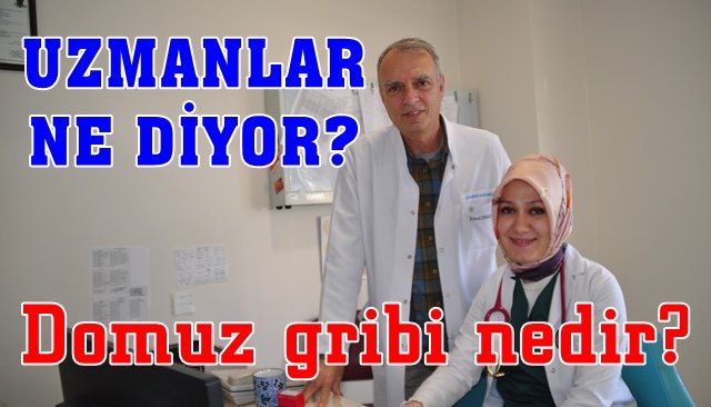 Domuz gribi nedir?