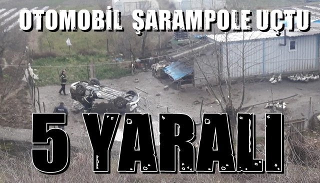  Otomobil şarampole uçtu: 5 yaralı