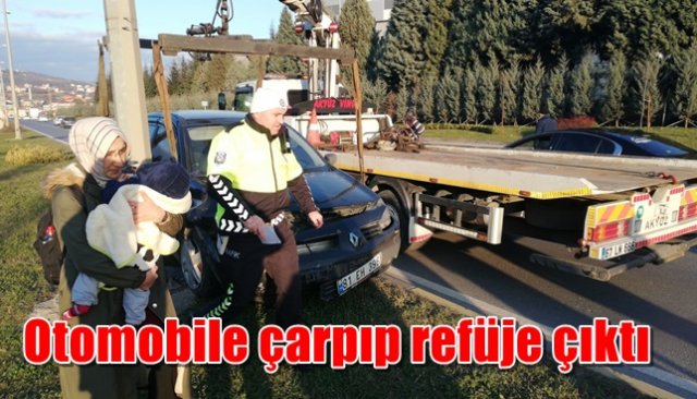 Otomobile çarpıp refüje çıktı: 1 yaralı