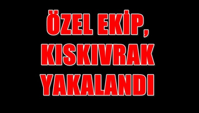 ÖZEL EKİP, KISKIVRAK YAKALANDI