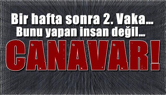 Bir hafta sonra 2. Vaka… Bunu yapan insan değil… CANAVAR!