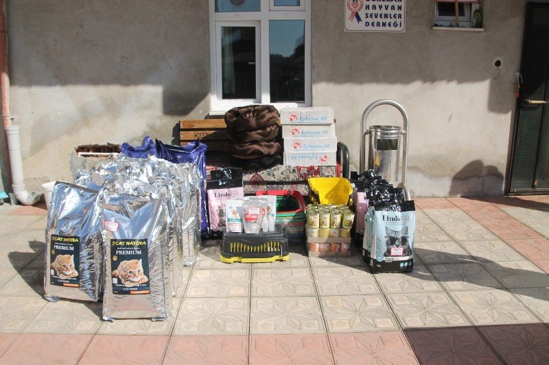 HAYVANLARA KÖTÜ MUAMELE SUÇ OLMALIDIR! - 6