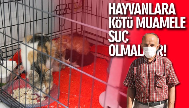 HAYVANLARA KÖTÜ MUAMELE SUÇ OLMALIDIR!