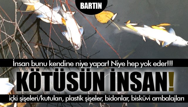 İNSANIN KİRLETTİĞİ BİR IRMAK ÖLÜYOR! 