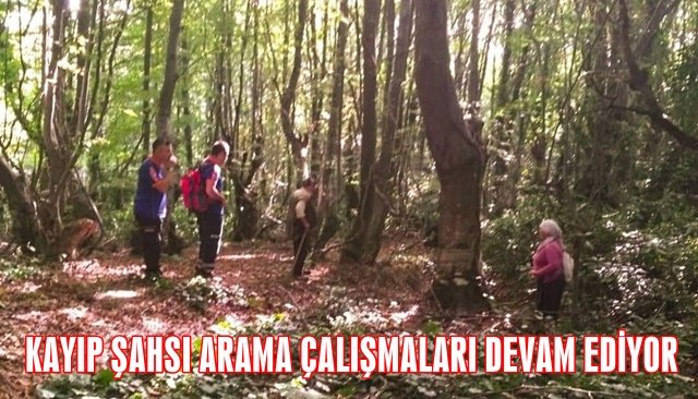  Kestane toplamaya gittiği dağda kayboldu