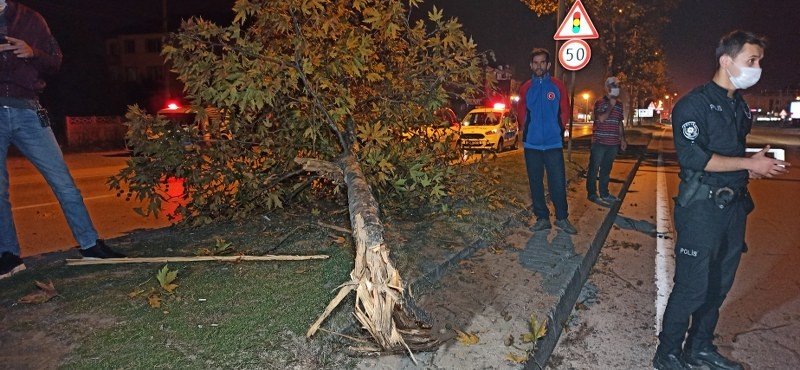 TAKLA ATTI: 3 YARALI - 5