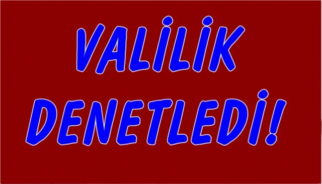 Valilik fabrika, işletme ve servisleri denetledi