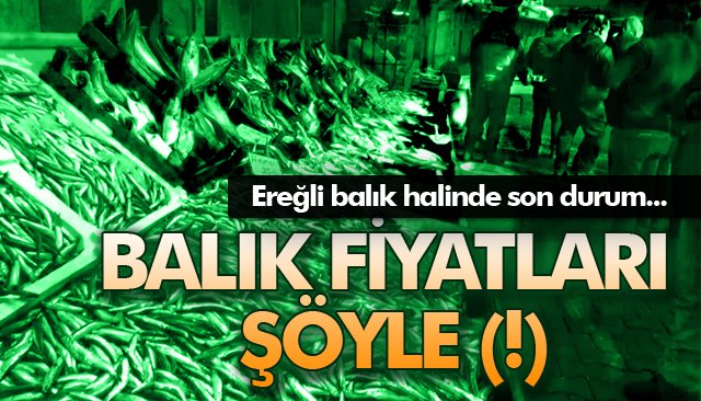 BALIK FİYATLARI ŞÖYLE (!)