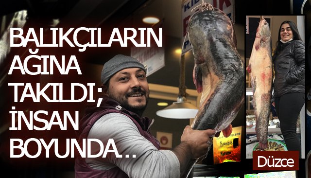 BALIKÇILARIN AĞINA TAKILDI; İNSAN BOYUNDA…