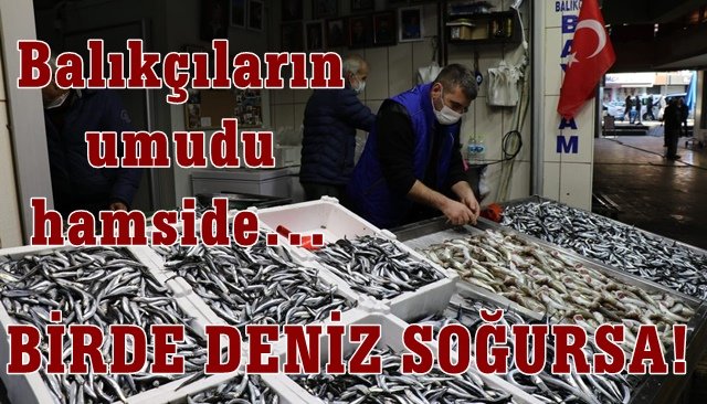 Balıkçıların umudu hamside…