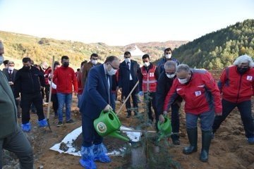 DEPREMDE HAYATINI KAYBEDENLER İÇİN FİDANLAR DİKİLDİ  - 1