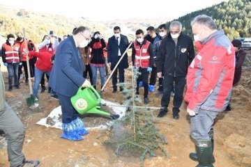 DEPREMDE HAYATINI KAYBEDENLER İÇİN FİDANLAR DİKİLDİ  - 2