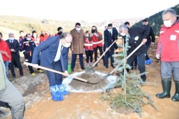 DEPREMDE HAYATINI KAYBEDENLER İÇİN FİDANLAR DİKİLDİ - 3