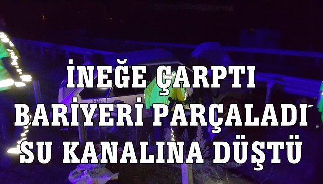  İNEĞE ÇARPTI, BARİYERİ PARÇALAYIP SU KANALINA DÜŞTÜ