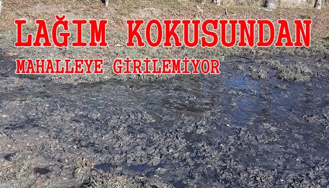 LAĞIM KOKUSUNDAN MAHALLEYE GİRİLEMİYOR