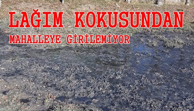 LAĞIM KOKUSUNDAN MAHALLEYE GİRİLEMİYOR