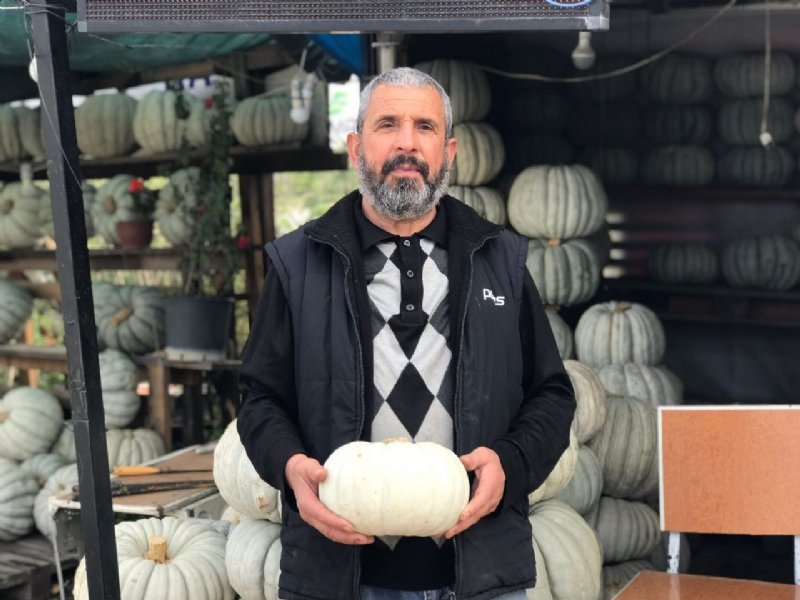 LEZZETİYLE DİĞER KABAK ÇEŞİTLERİNE FARK ATIYOR - 4