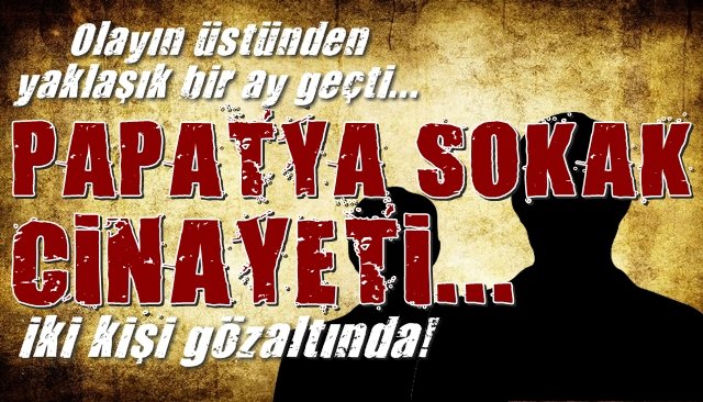 PAPATYA SOKAK CİNAYETİNDE İKİ GÖZALTI