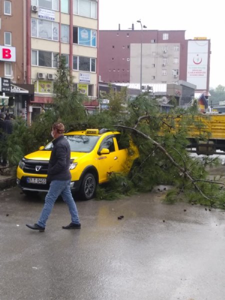 TAKSİ ÇAM AĞACININ ALTINDA KALDI - 3