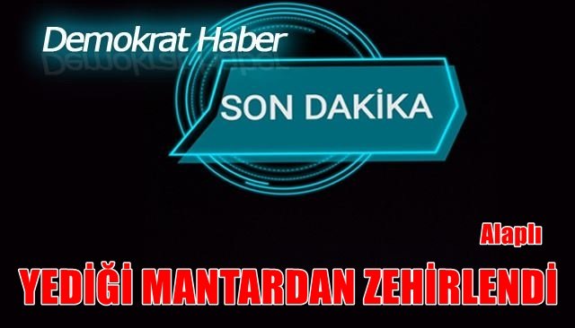 YEDİĞİ MANTARDAN ZEHİRLENDİ