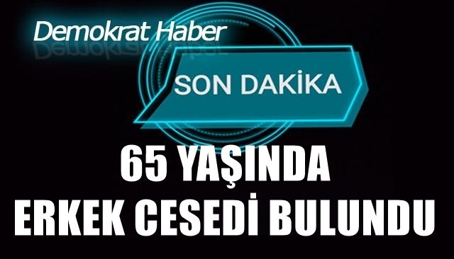 65 yaşında bir erkek cesedi bulundu