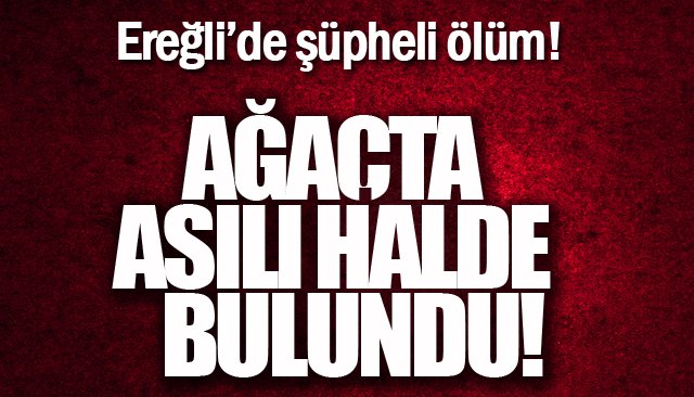 AĞAÇTA ASILI HALDE BULUNDU!