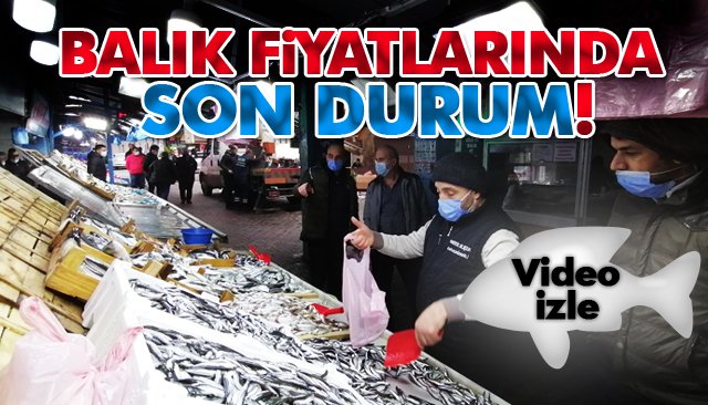 BALIK FİYATLARINDA SON DURUM!