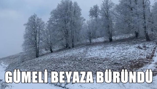 Gümeli´ye mevsimin ilk karı düştü