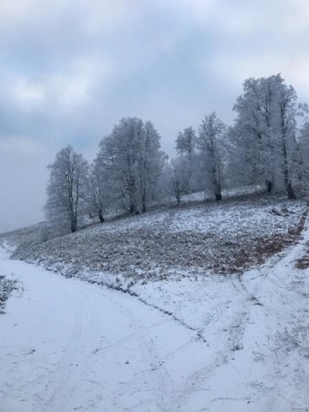 Gümeli´ye mevsimin ilk karı düştü - 3