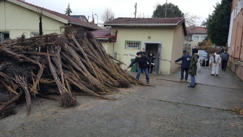    HANDLER CİNSİ CEVİZ FİDANLARININ DAĞITIMI YAPILDI - 1