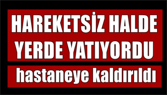 HAREKETSİZ HALDE YERDE YATIYORDU