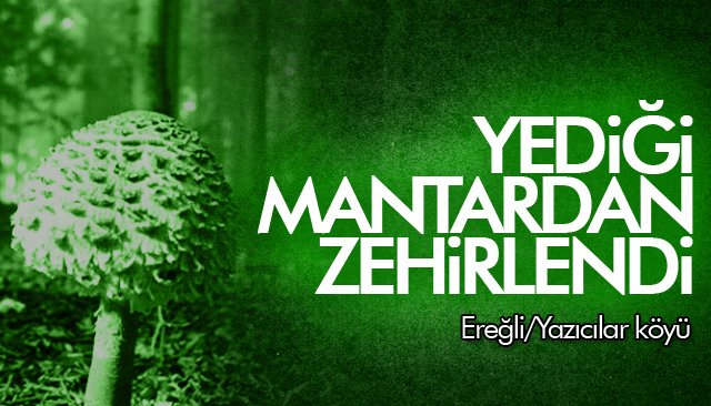 MANTAR ZEHİRLENMESİ!