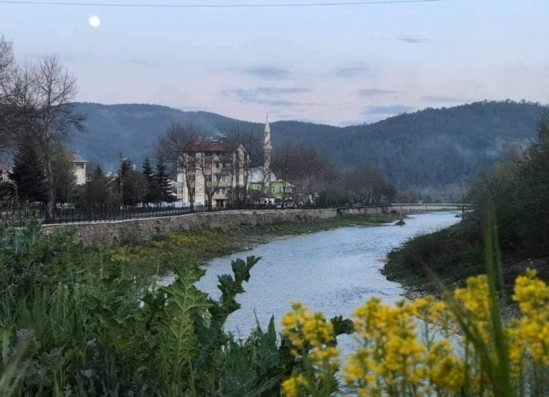 NESLİ TEHLİKEDE; ÜÇ TANESİ BİRDEN GÖRÜLDÜ - 2