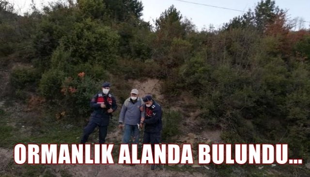 ORMANLIK ALANDA BULUNDU...