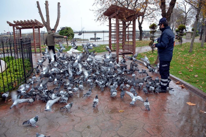 Sokak Hayvanlarına Zabıta sahip çıktı... - 1