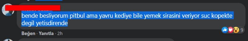 TÜRKİYEDE ‘YASAKLI IRK’ DOSYASI! - 8
