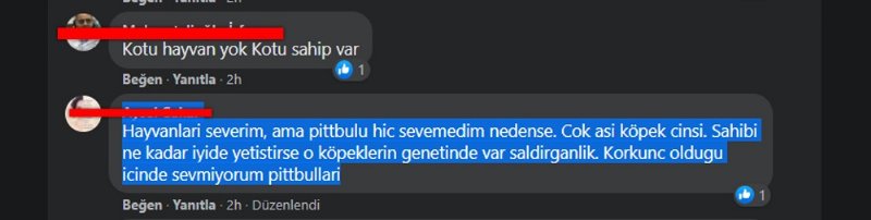 TÜRKİYEDE ‘YASAKLI IRK’ DOSYASI! - 9