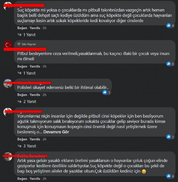 TÜRKİYEDE ‘YASAKLI IRK’ DOSYASI! - 11